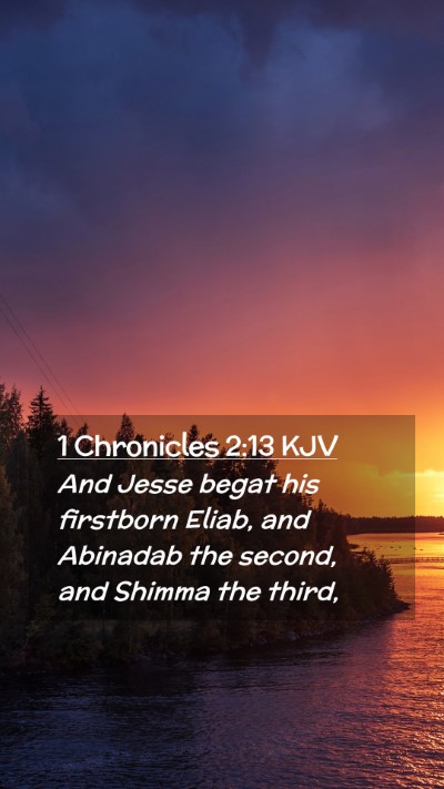 Picture 02 - 1 Chronicles 2:13 KJV Mobile Phone Wallpaper - And Jesse begat his firstborn Eliab, and Abinadab - Mobile Bible Verse Wallpaper