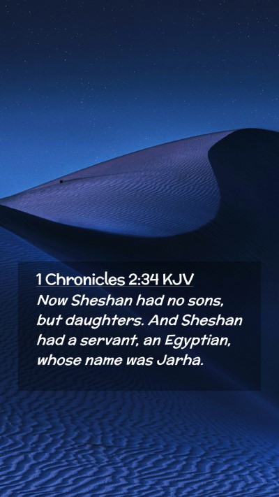 Picture 02 - 1 Chronicles 2:34 KJV Mobile Phone Wallpaper - Now Sheshan had no sons, but daughters. And - Mobile Bible Verse Wallpaper