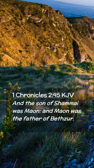 Picture 02 - 1 Chronicles 2:45 KJV Mobile Phone Wallpaper - And the son of Shammai was Maon: and Maon was the - Mobile Bible Verse Wallpaper