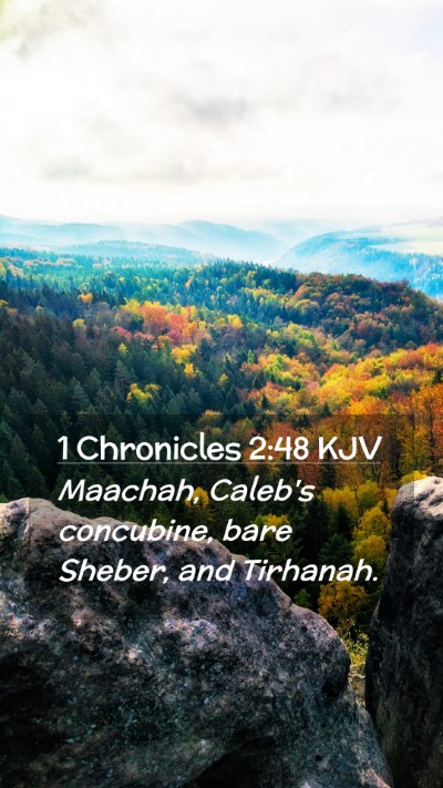 Picture 02 - 1 Chronicles 2:48 KJV Mobile Phone Wallpaper - Maachah, Caleb's concubine, bare Sheber, and - Mobile Bible Verse Wallpaper