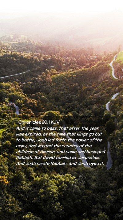 Picture 02 - 1 Chronicles 20:1 KJV Mobile Phone Wallpaper - And it came to pass, that after the year was - Mobile Bible Verse Wallpaper