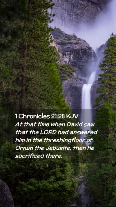 Picture 02 - 1 Chronicles 21:28 KJV Mobile Phone Wallpaper - At that time when David saw that the LORD had - Mobile Bible Verse Wallpaper