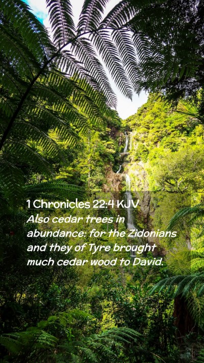 Picture 02 - 1 Chronicles 22:4 KJV Mobile Phone Wallpaper - Also cedar trees in abundance: for the Zidonians - Mobile Bible Verse Wallpaper