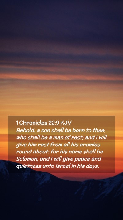 Picture 02 - 1 Chronicles 22:9 KJV Mobile Phone Wallpaper - Behold, a son shall be born to thee, who shall be - Mobile Bible Verse Wallpaper