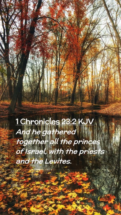 Picture 02 - 1 Chronicles 23:2 KJV Mobile Phone Wallpaper - And he gathered together all the princes of - Mobile Bible Verse Wallpaper