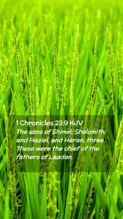 Picture 02 - 1 Chronicles 23:9 KJV Mobile Phone Wallpaper - The sons of Shimei; Shelomith, and Haziel, and - Mobile Bible Verse Wallpaper
