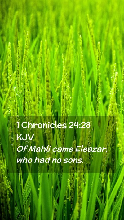 Picture 02 - 1 Chronicles 24:28 KJV Mobile Phone Wallpaper - Of Mahli came Eleazar, who had no - Mobile Bible Verse Wallpaper