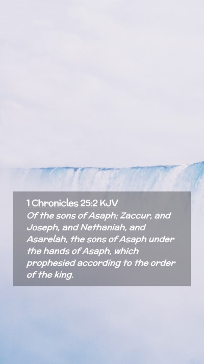 Picture 02 - 1 Chronicles 25:2 KJV Mobile Phone Wallpaper - Of the sons of Asaph; Zaccur, and Joseph, and - Mobile Bible Verse Wallpaper