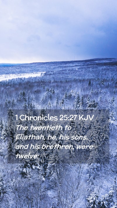 Picture 02 - 1 Chronicles 25:27 KJV Mobile Phone Wallpaper - The twentieth to Eliathah, he, his sons, and his - Mobile Bible Verse Wallpaper