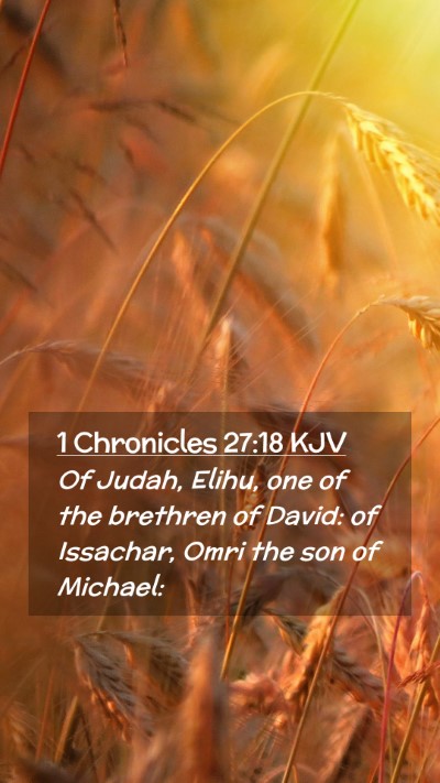 Picture 02 - 1 Chronicles 27:18 KJV Mobile Phone Wallpaper - Of Judah, Elihu, one of the brethren of David: of - Mobile Bible Verse Wallpaper