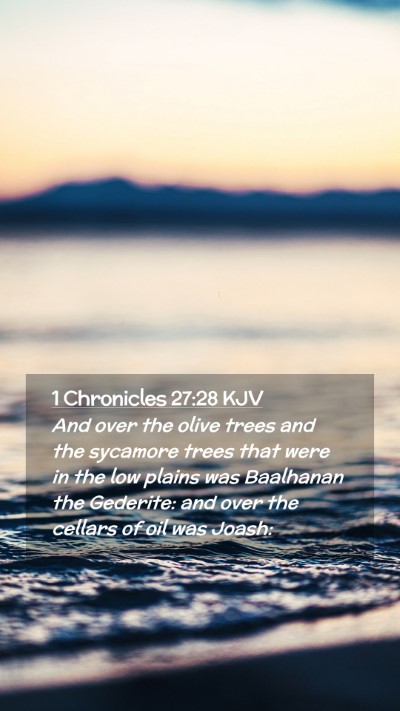 Picture 02 - 1 Chronicles 27:28 KJV Mobile Phone Wallpaper - And over the olive trees and the sycamore trees - Mobile Bible Verse Wallpaper