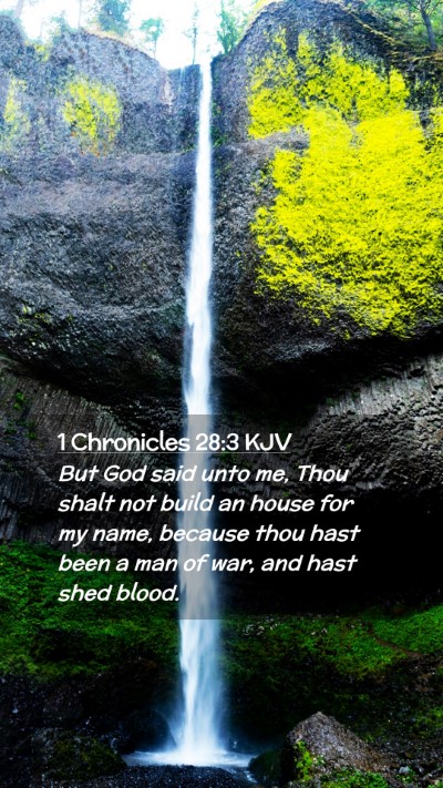 Picture 02 - 1 Chronicles 28:3 KJV Mobile Phone Wallpaper - But God said unto me, Thou shalt not build an - Mobile Bible Verse Wallpaper