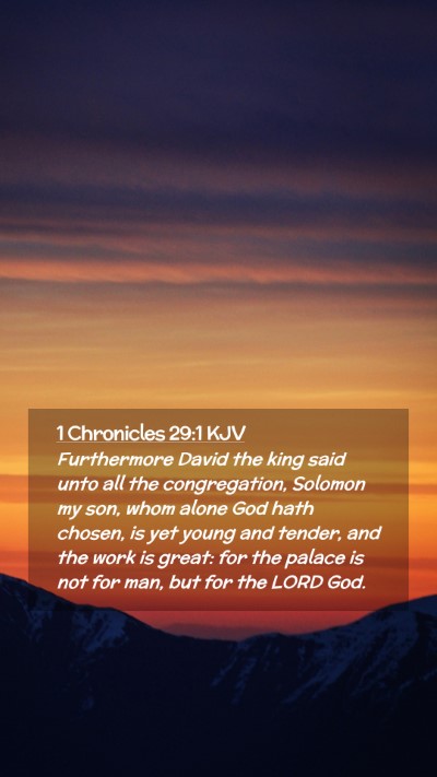 Picture 02 - 1 Chronicles 29:1 KJV Mobile Phone Wallpaper - Furthermore David the king said unto all the - Mobile Bible Verse Wallpaper