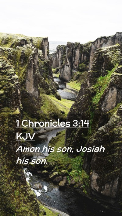 Picture 02 - 1 Chronicles 3:14 KJV Mobile Phone Wallpaper - Amon his son, Josiah his - Mobile Bible Verse Wallpaper