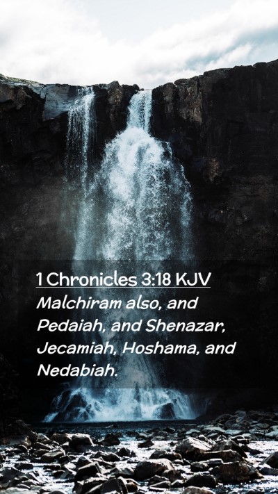Picture 02 - 1 Chronicles 3:18 KJV Mobile Phone Wallpaper - Malchiram also, and Pedaiah, and Shenazar, - Mobile Bible Verse Wallpaper