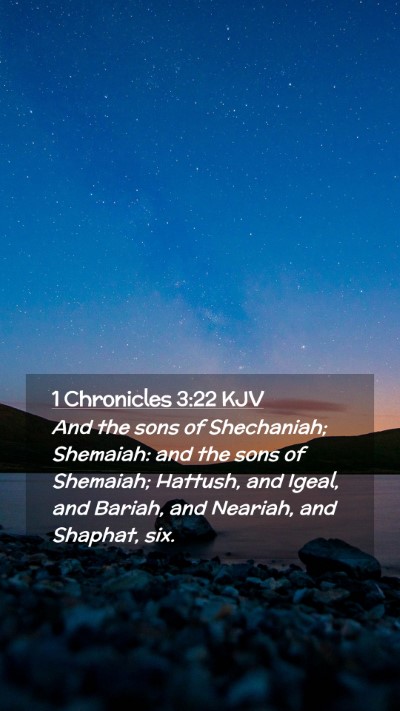 Picture 02 - 1 Chronicles 3:22 KJV Mobile Phone Wallpaper - And the sons of Shechaniah; Shemaiah: and the - Mobile Bible Verse Wallpaper