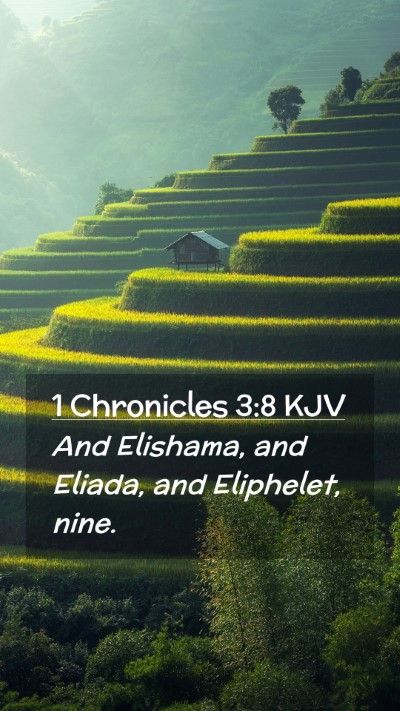 Picture 02 - 1 Chronicles 3:8 KJV Mobile Phone Wallpaper - And Elishama, and Eliada, and Eliphelet, - Mobile Bible Verse Wallpaper