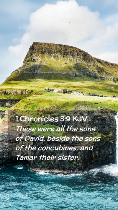 Picture 02 - 1 Chronicles 3:9 KJV Mobile Phone Wallpaper - These were all the sons of David, beside the sons - Mobile Bible Verse Wallpaper