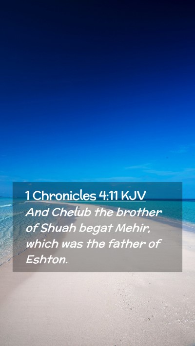 Picture 02 - 1 Chronicles 4:11 KJV Mobile Phone Wallpaper - And Chelub the brother of Shuah begat Mehir, - Mobile Bible Verse Wallpaper