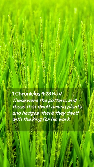Picture 02 - 1 Chronicles 4:23 KJV Mobile Phone Wallpaper - These were the potters, and those that dwelt - Mobile Bible Verse Wallpaper