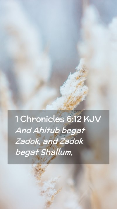 Picture 02 - 1 Chronicles 6:12 KJV Mobile Phone Wallpaper - And Ahitub begat Zadok, and Zadok begat - Mobile Bible Verse Wallpaper