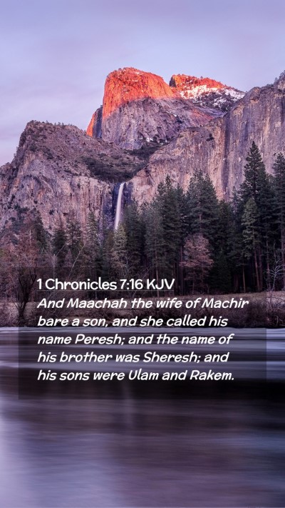 Picture 02 - 1 Chronicles 7:16 KJV Mobile Phone Wallpaper - And Maachah the wife of Machir bare a son, and - Mobile Bible Verse Wallpaper