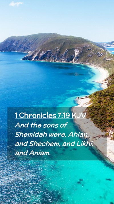 Picture 02 - 1 Chronicles 7:19 KJV Mobile Phone Wallpaper - And the sons of Shemidah were, Ahian, and - Mobile Bible Verse Wallpaper