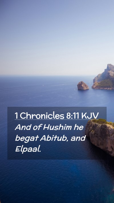 Picture 02 - 1 Chronicles 8:11 KJV Mobile Phone Wallpaper - And of Hushim he begat Abitub, and - Mobile Bible Verse Wallpaper