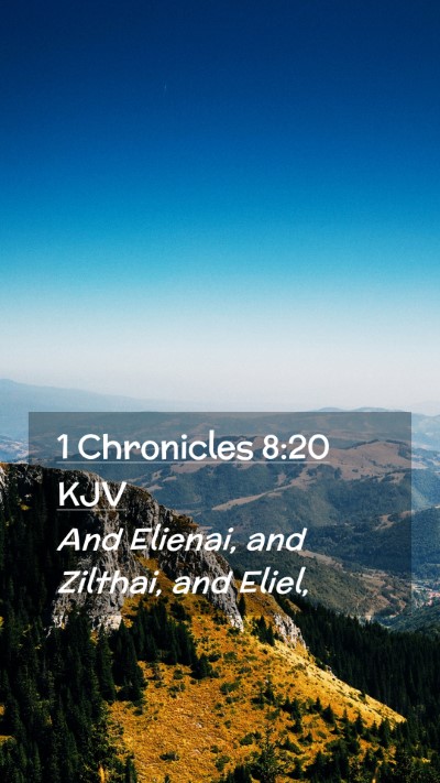 Picture 02 - 1 Chronicles 8:20 KJV Mobile Phone Wallpaper - And Elienai, and Zilthai, and - Mobile Bible Verse Wallpaper