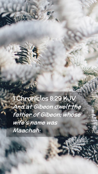 Picture 02 - 1 Chronicles 8:29 KJV Mobile Phone Wallpaper - And at Gibeon dwelt the father of Gibeon; whose - Mobile Bible Verse Wallpaper