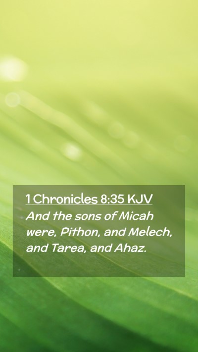 Picture 02 - 1 Chronicles 8:35 KJV Mobile Phone Wallpaper - And the sons of Micah were, Pithon, and Melech, - Mobile Bible Verse Wallpaper