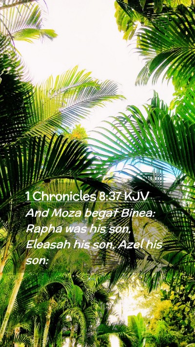 Picture 02 - 1 Chronicles 8:37 KJV Mobile Phone Wallpaper - And Moza begat Binea: Rapha was his son, Eleasah - Mobile Bible Verse Wallpaper