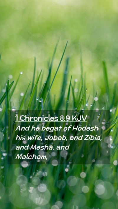 Picture 02 - 1 Chronicles 8:9 KJV Mobile Phone Wallpaper - And he begat of Hodesh his wife, Jobab, and - Mobile Bible Verse Wallpaper