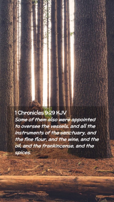 Picture 02 - 1 Chronicles 9:29 KJV Mobile Phone Wallpaper - Some of them also were appointed to oversee the - Mobile Bible Verse Wallpaper