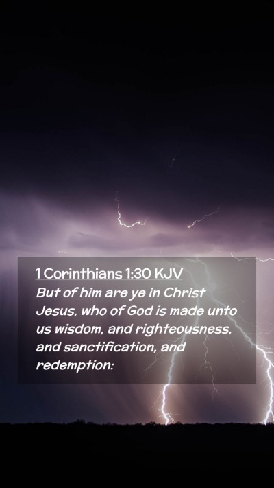 Picture 02 - 1 Corinthians 1:30 KJV Mobile Phone Wallpaper - But of him are ye in Christ Jesus, who of God is - Mobile Bible Verse Wallpaper