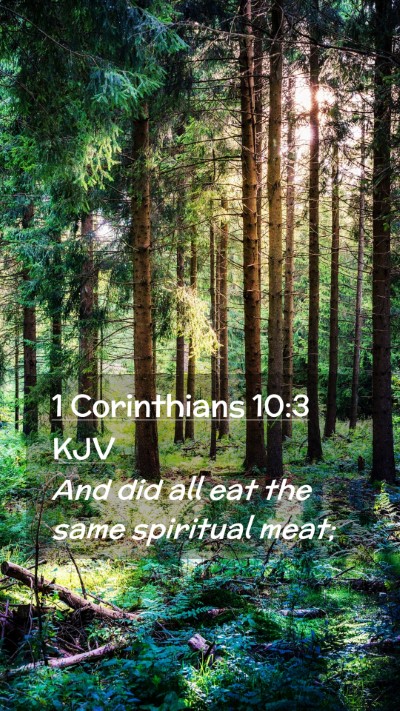 Picture 02 - 1 Corinthians 10:3 KJV Mobile Phone Wallpaper - And did all eat the same spiritual - Mobile Bible Verse Wallpaper