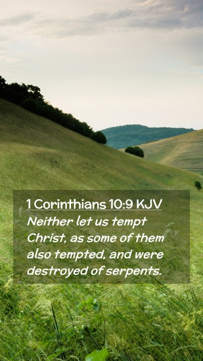 Picture 02 - 1 Corinthians 10:9 KJV Mobile Phone Wallpaper - Neither let us tempt Christ, as some of them also - Mobile Bible Verse Wallpaper