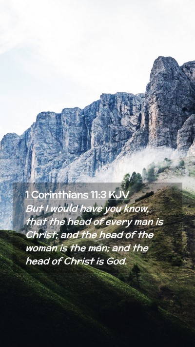 Picture 02 - 1 Corinthians 11:3 KJV Mobile Phone Wallpaper - But I would have you know, that the head of every - Mobile Bible Verse Wallpaper