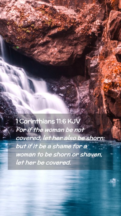 Picture 02 - 1 Corinthians 11:6 KJV Mobile Phone Wallpaper - For if the woman be not covered, let her also be - Mobile Bible Verse Wallpaper