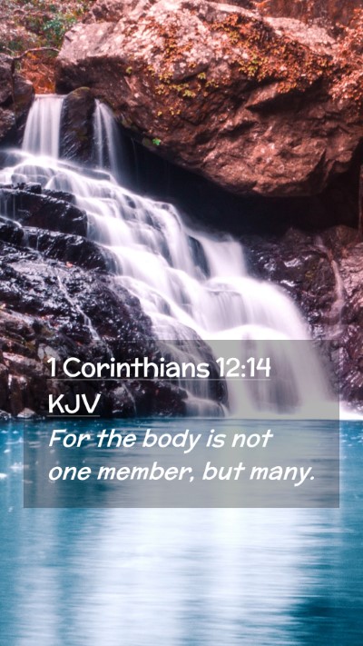 Picture 02 - 1 Corinthians 12:14 KJV Mobile Phone Wallpaper - For the body is not one member, but - Mobile Bible Verse Wallpaper