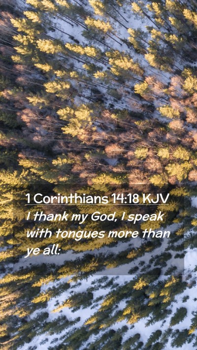 Picture 02 - 1 Corinthians 14:18 KJV Mobile Phone Wallpaper - I thank my God, I speak with tongues more than ye - Mobile Bible Verse Wallpaper