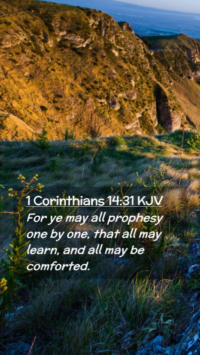 Picture 02 - 1 Corinthians 14:31 KJV Mobile Phone Wallpaper - For ye may all prophesy one by one, that all may - Mobile Bible Verse Wallpaper