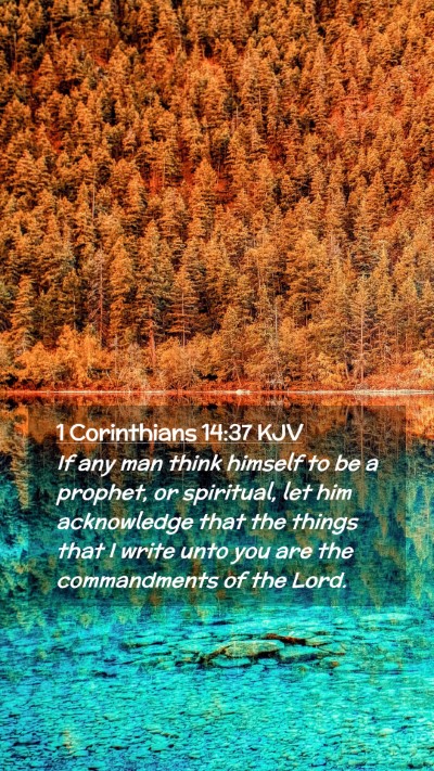 Picture 02 - 1 Corinthians 14:37 KJV Mobile Phone Wallpaper - If any man think himself to be a prophet, or - Mobile Bible Verse Wallpaper