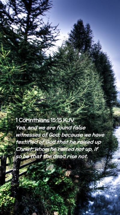 Picture 02 - 1 Corinthians 15:15 KJV Mobile Phone Wallpaper - Yea, and we are found false witnesses of God; - Mobile Bible Verse Wallpaper