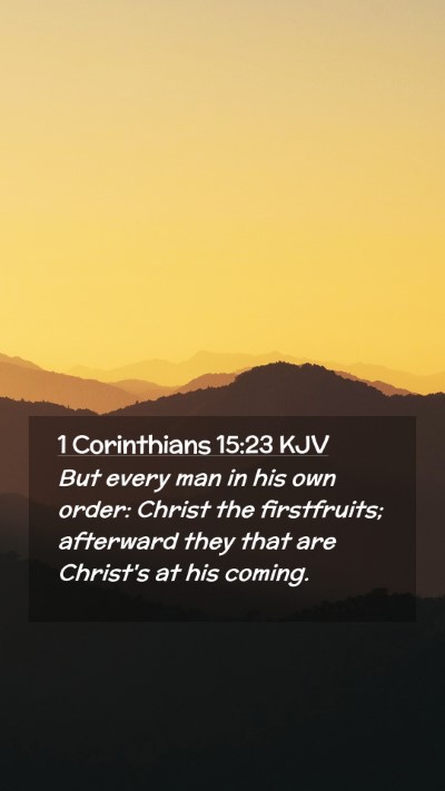 Picture 02 - 1 Corinthians 15:23 KJV Mobile Phone Wallpaper - But every man in his own order: Christ the - Mobile Bible Verse Wallpaper