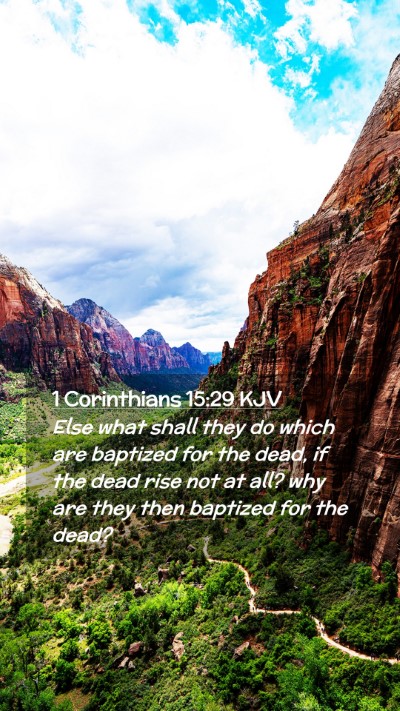 Picture 02 - 1 Corinthians 15:29 KJV Mobile Phone Wallpaper - Else what shall they do which are baptized for - Mobile Bible Verse Wallpaper