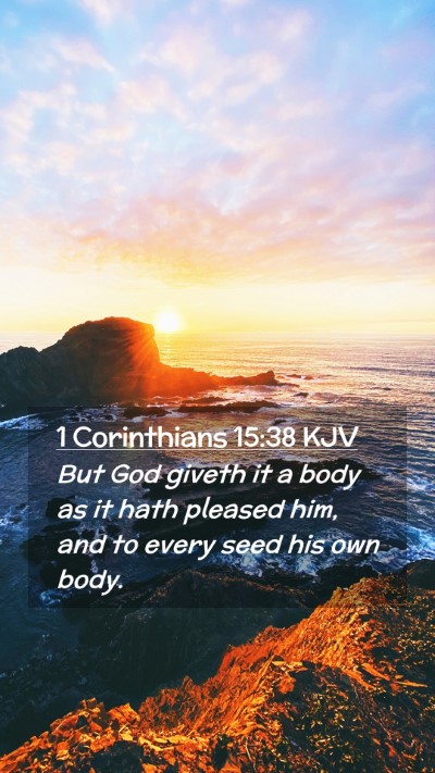 Picture 02 - 1 Corinthians 15:38 KJV Mobile Phone Wallpaper - But God giveth it a body as it hath pleased him, - Mobile Bible Verse Wallpaper