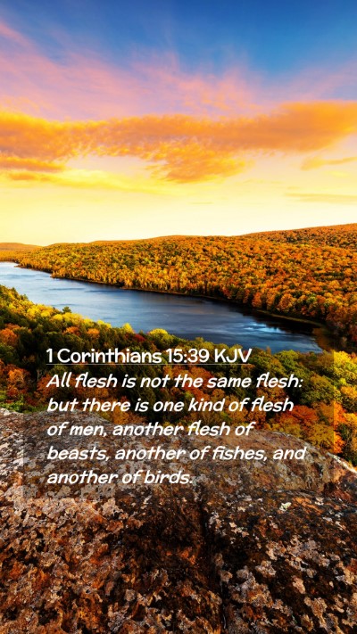 Picture 02 - 1 Corinthians 15:39 KJV Mobile Phone Wallpaper - All flesh is not the same flesh: but there is one - Mobile Bible Verse Wallpaper
