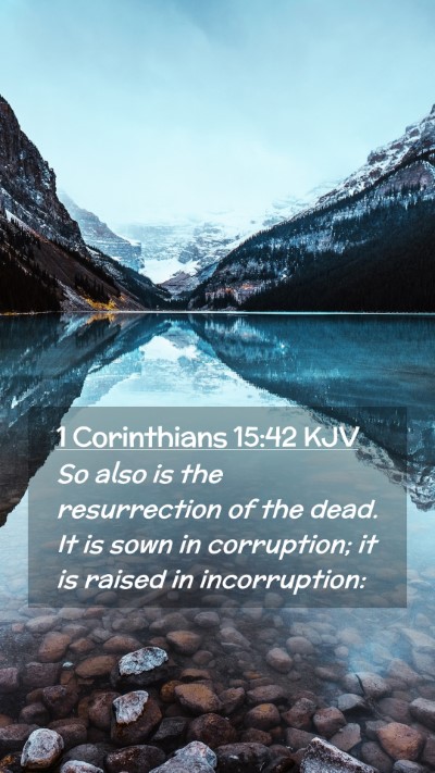 Picture 02 - 1 Corinthians 15:42 KJV Mobile Phone Wallpaper - So also is the resurrection of the dead. It is - Mobile Bible Verse Wallpaper