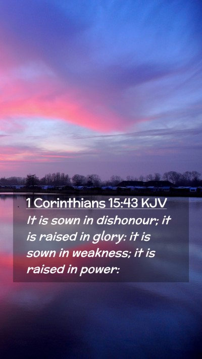 Picture 02 - 1 Corinthians 15:43 KJV Mobile Phone Wallpaper - It is sown in dishonour; it is raised in glory: - Mobile Bible Verse Wallpaper